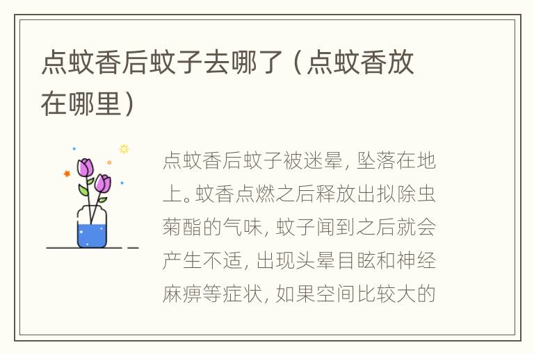 点蚊香后蚊子去哪了（点蚊香放在哪里）