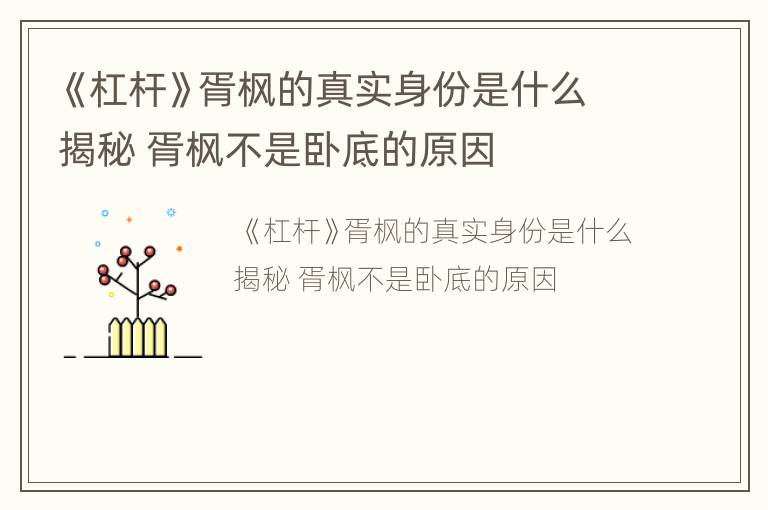 《杠杆》胥枫的真实身份是什么揭秘 胥枫不是卧底的原因