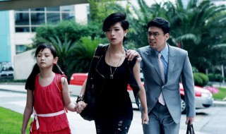 小儿难养认女儿是第几集 小儿难养电视剧简介
