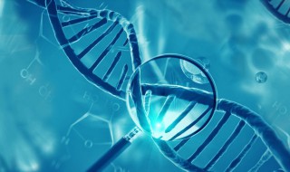 dna分子的结构是什么结构 DNA分子是由什么组成的