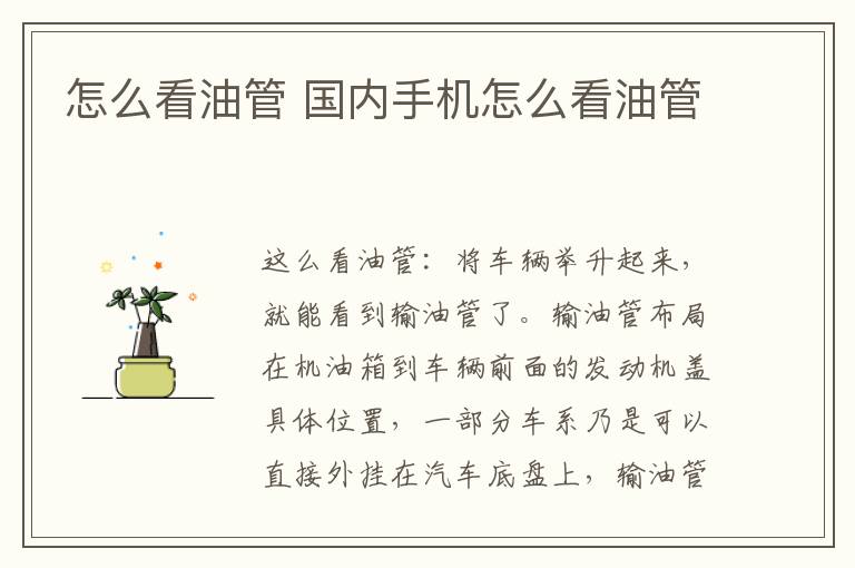 怎么看油管 国内手机怎么看油管