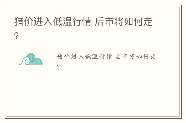 猪价进入低温行情 后市将如何走？