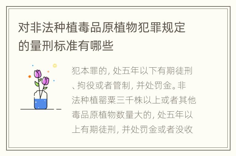 对非法种植毒品原植物犯罪规定的量刑标准有哪些