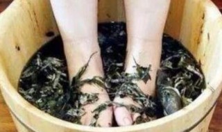 夏枯草泡脚功效与作用 夏枯草泡脚功效与作用有哪些