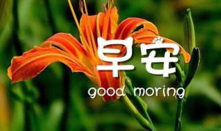 早安正能量语录集励志 形容早安正能量语录集励志