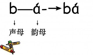 声母和韵母的区别 怎么区别声母和韵母