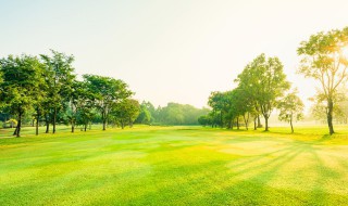 大陆是怎么形成的 大陆的形成是怎样的