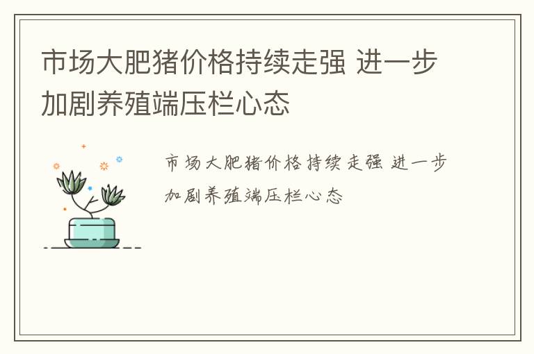市场大肥猪价格持续走强 进一步加剧养殖端压栏心态