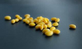 黄豆怎么做豆豉 怎样做黄豆豆豉