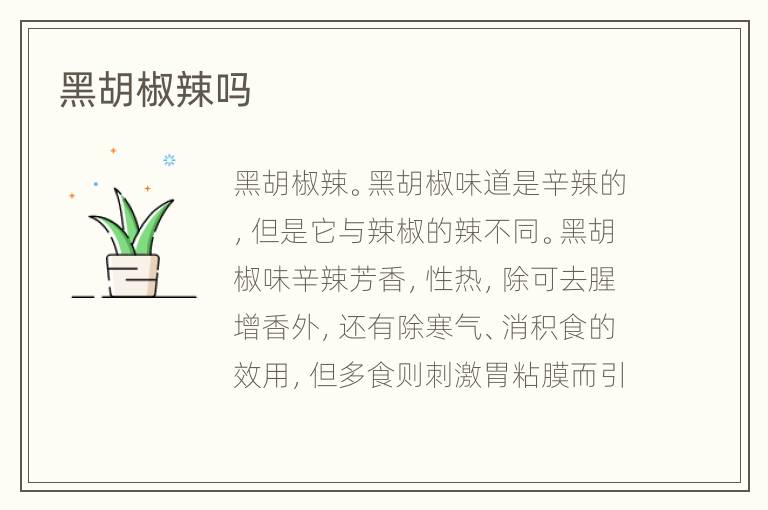黑胡椒辣吗