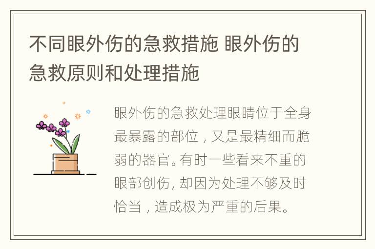 不同眼外伤的急救措施 眼外伤的急救原则和处理措施