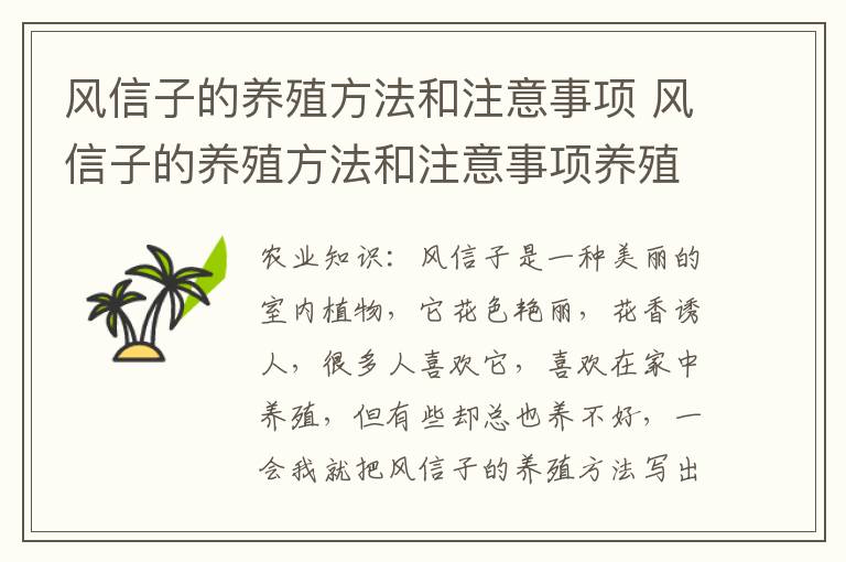 风信子的养殖方法和注意事项 风信子的养殖方法和注意事项养殖日记