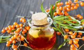 完美沙棘茶功效与作用适合人群 完美沙棘茶功效与作用是什么适合哪些人群