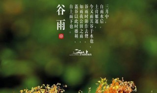 24节中关于谷雨的诗词 24节中关于谷雨的诗词简单介绍