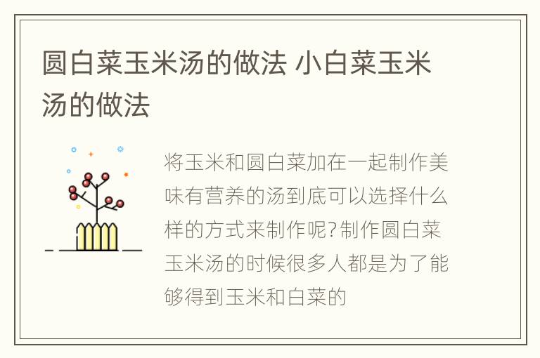 圆白菜玉米汤的做法 小白菜玉米汤的做法