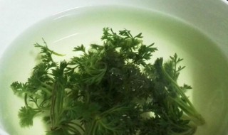 怎样用茵陈泡水喝茵陈泡水喝详解 用茵陈泡水喝的方法