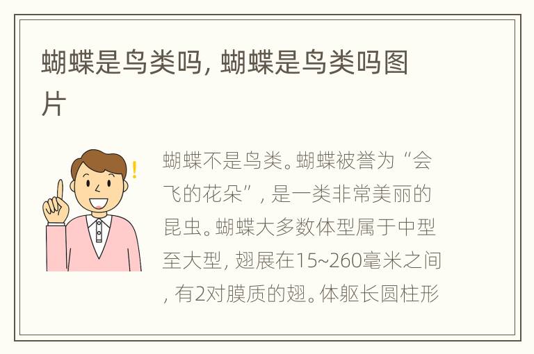 蝴蝶是鸟类吗，蝴蝶是鸟类吗图片