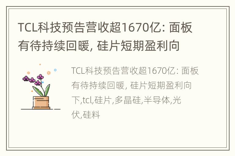TCL科技预告营收超1670亿：面板有待持续回暖，硅片短期盈利向下