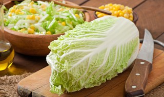 白菜上有虫眼能吃吗 白菜上有虫眼能不能吃