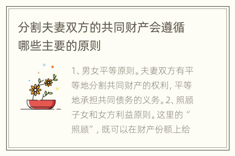分割夫妻双方的共同财产会遵循哪些主要的原则