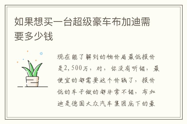 如果想买一台超级豪车布加迪需要多少钱
