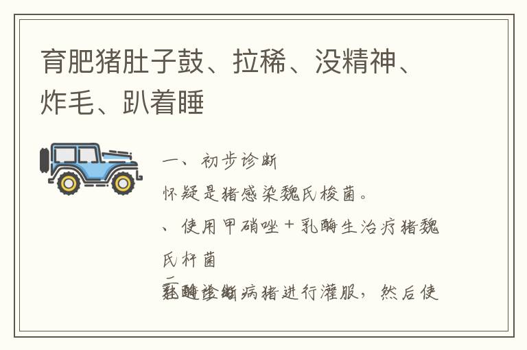 育肥猪肚子鼓、拉稀、没精神、炸毛、趴着睡