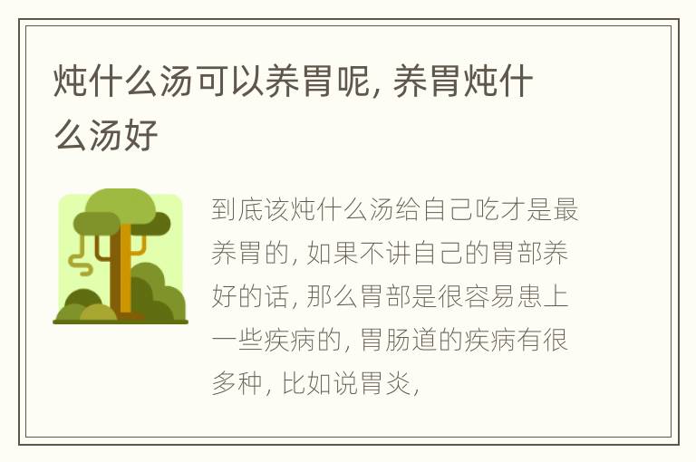 炖什么汤可以养胃呢，养胃炖什么汤好