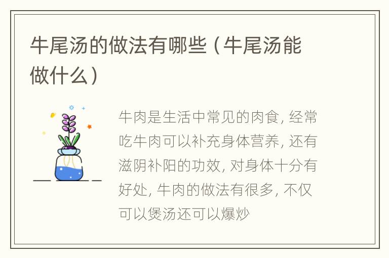牛尾汤的做法有哪些（牛尾汤能做什么）