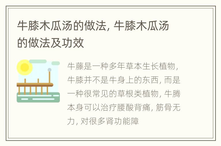 牛膝木瓜汤的做法，牛膝木瓜汤的做法及功效