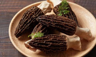 羊肚菌不能和什么同煮 什么食物不能和羊肚菌同食