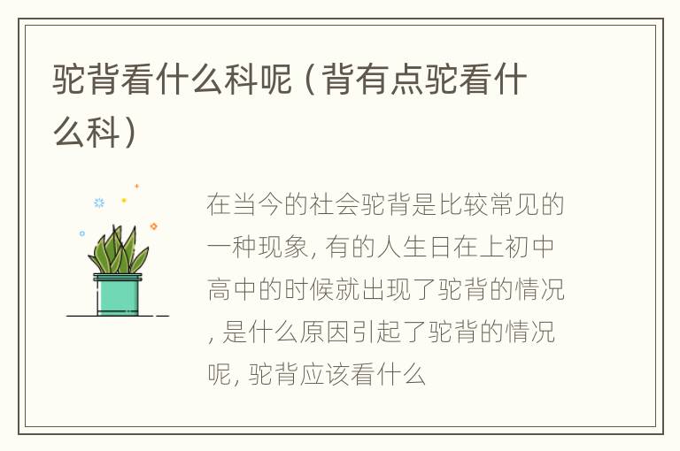 驼背看什么科呢（背有点驼看什么科）