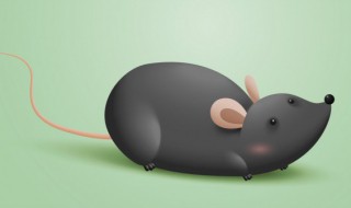 男人梦见老鼠是什么征兆周公解梦
