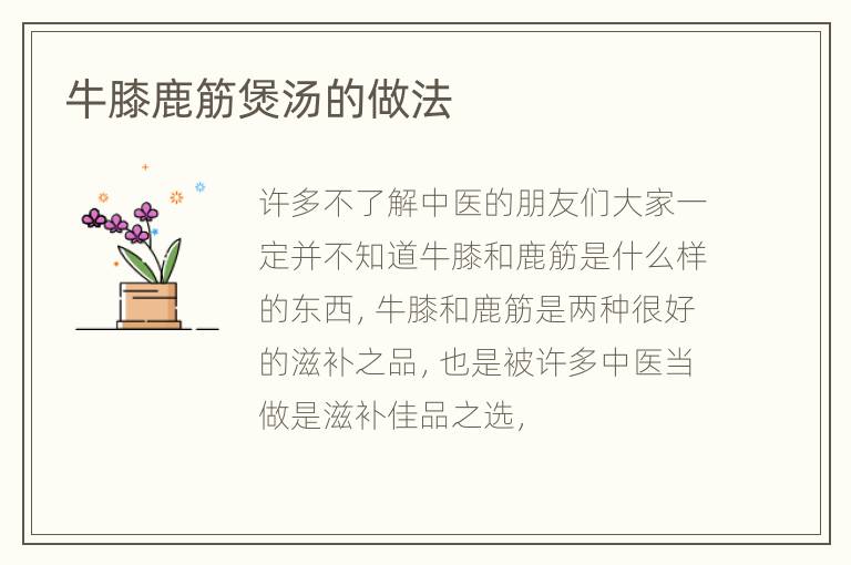 牛膝鹿筋煲汤的做法