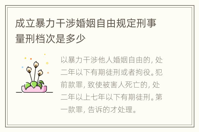成立暴力干涉婚姻自由规定刑事量刑档次是多少