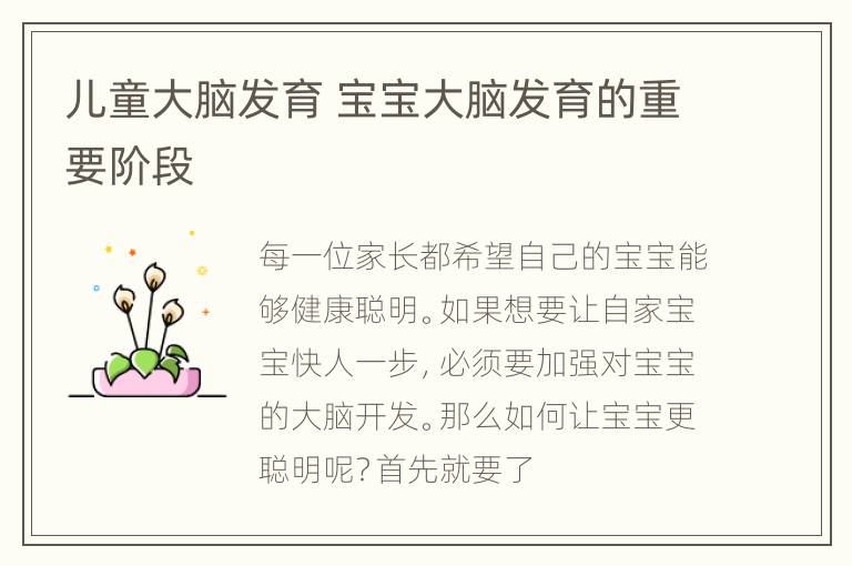 儿童大脑发育 宝宝大脑发育的重要阶段