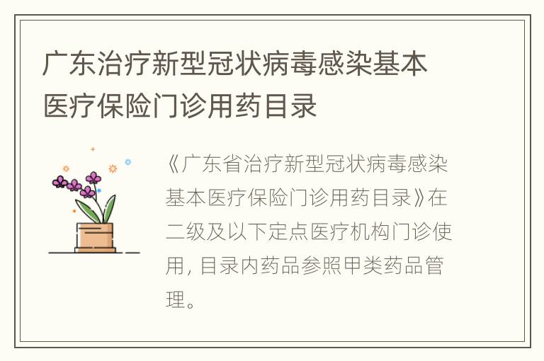 广东治疗新型冠状病毒感染基本医疗保险门诊用药目录