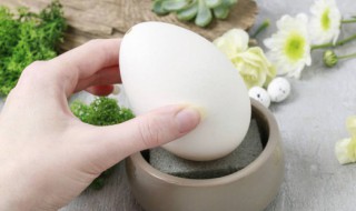刚怀孕吃鹅蛋有什么好处 刚怀孕吃鹅蛋有什么好处吗