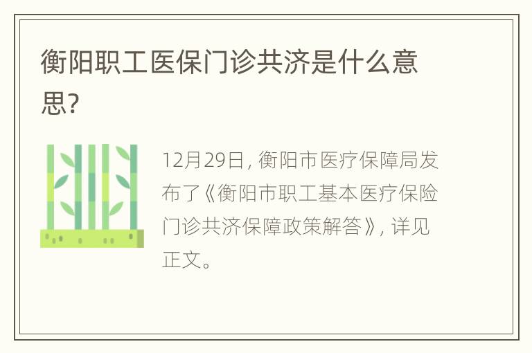 衡阳职工医保门诊共济是什么意思?