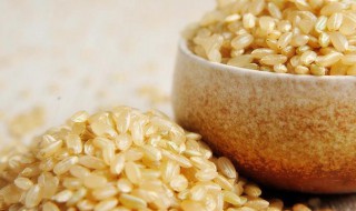 糙米饭的功效与禁忌 糙米饭的功效与禁忌简单介绍