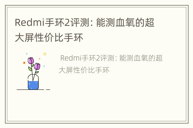Redmi手环2评测：能测血氧的超大屏性价比手环