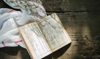 乘风破浪的拼音 乘风破浪解释及出处