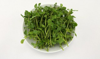西洋菜炒皮蛋怎么做好吃 如何做西洋菜炒皮蛋