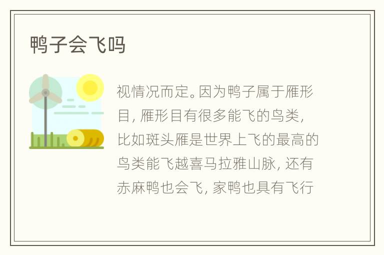 鸭子会飞吗