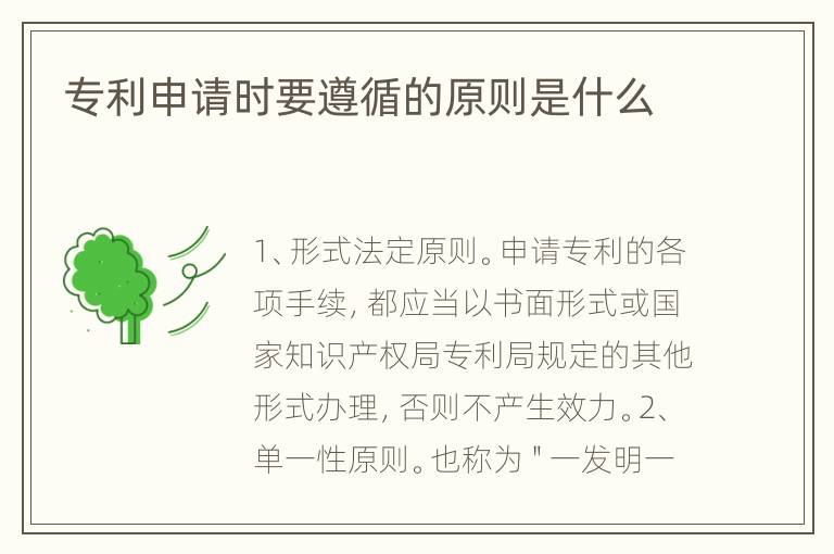 专利申请时要遵循的原则是什么