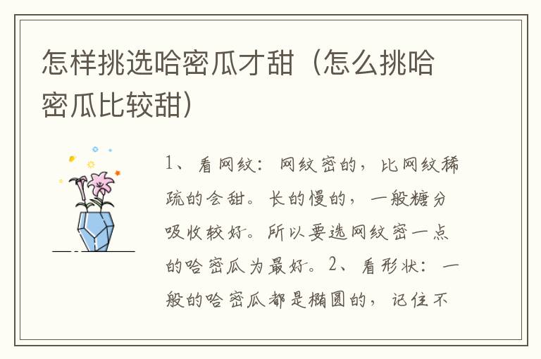 怎样挑选哈密瓜才甜（怎么挑哈密瓜比较甜）