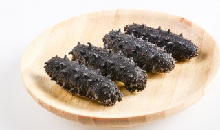 海参蘸什么吃最好 海参和哪些食物搭配吃最好