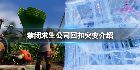 禁闭求生公司回扣突变有什么用-禁闭求生公司回扣突变介绍