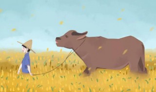 2021年芒种是几月几日 芒种的习俗有什么