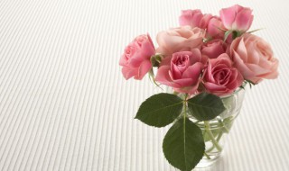 花束买回来怎么保鲜 如何保鲜鲜花