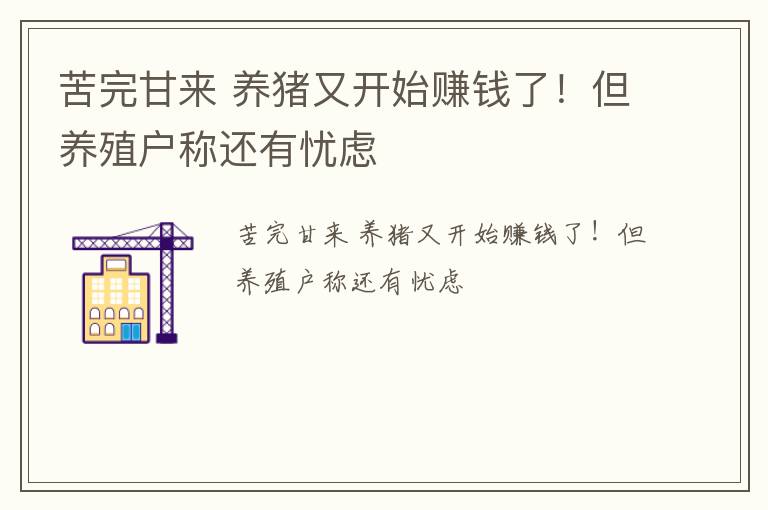 苦完甘来 养猪又开始赚钱了！但养殖户称还有忧虑